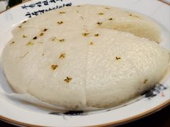 -椿不老