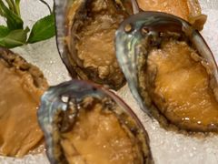 手工冰镇鲍鱼-木棉·醉心粤味(COCO Park店)