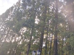 -上海虹桥迎宾馆