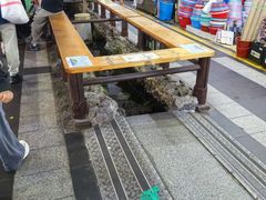 -西归浦每天偶来市场