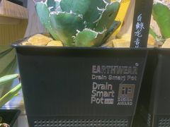 -Rabbit Cafe私房西餐甜点咖啡(栖霞路店)