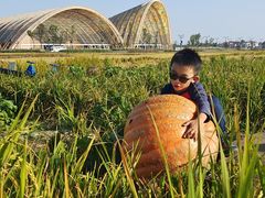 -中国天府农业博览园