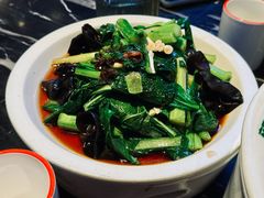 -新白鹿餐厅(虹桥南丰城店)