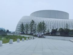 -金沙湖公园