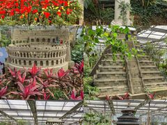 -南宫五洲植物乐园