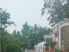 -狗不理(贵宾楼店)