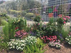 -深圳国际园林花卉博览园