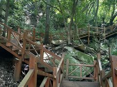 -大岭沟猕猴桃谷风景区