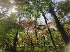 -杭州植物园