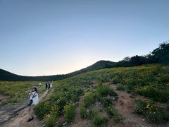 -佛慧山