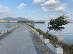 -福建鲤鱼洲酒店