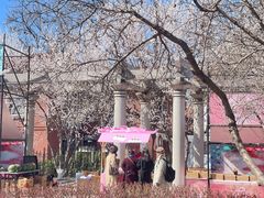 -桃花堤公园
