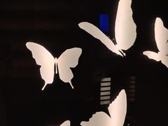 -昆明洲际酒店