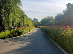 -长春公园(普阳街道)