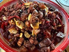 -柴窝堡22号辣子鸡·传承新疆菜