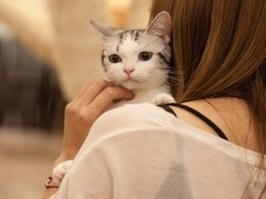 -袖虎·猫馆(体育西路店)