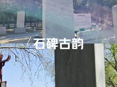 -赵州桥景区