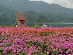 -广州市石门国家森林公园