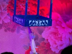 -盖碗儿梨园·变脸吐火·川剧(天府广场店)