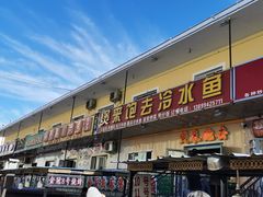 -煲来饱去冷水鱼