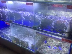 -石锅苗苗鱼(武汉首店)