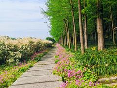 -金山嘴渔村