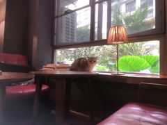 -咖法森林·咖啡  酒吧(天河店)