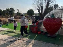 -喜杨洋草莓采摘园
