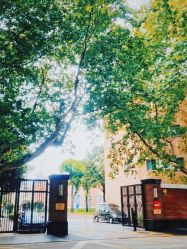 -锦江饭店·锦江小礼堂·宴会厅