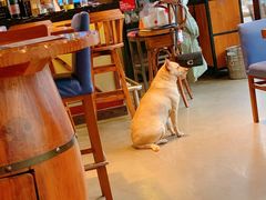 -Cactus墨西哥仙人掌餐厅