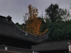 -宁波市保国寺古建筑博物馆