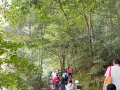 -赤水丹霞旅游区·大瀑布
