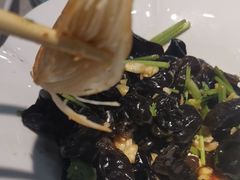 -洞庭家宴·头牌甲鱼(广渠门店)