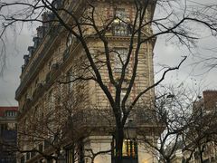 -Le Comptoir de la Gastronomie