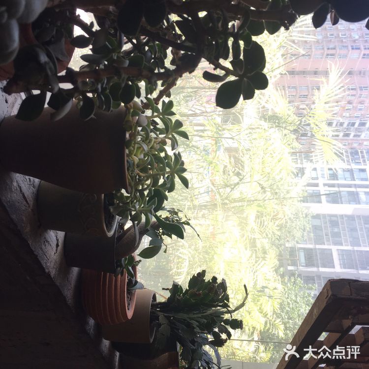 很有特色，天气热了，有点吃不下，店里的拌菜还是很好的