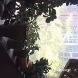 很有特色，天气热了，有点吃不下，店里的拌菜还是很好的