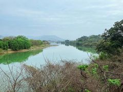 -福建鲤鱼洲酒店