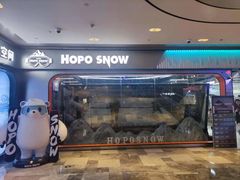 -Hopo Snow 城市滑雪空间(来福士广场购物中心店)