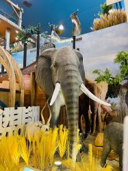 -卡通尼·Safari非洲探索乐园·生日会(金桥国际商业广场店)