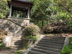 -北极阁公园