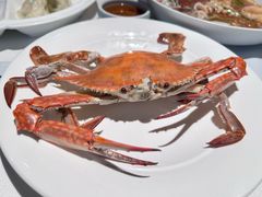 -开海·红岛海鲜虾水饺(万象城店)