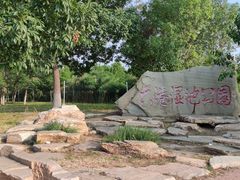 -大港湿地公园