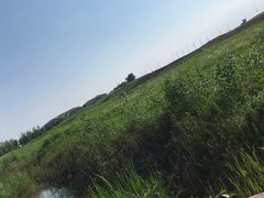 -洪湖湿地生态园