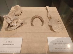 -嘉峪关城市博物馆