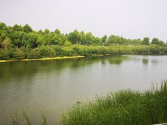 -滨湖塘西河公园