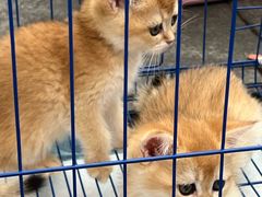 -金牛万达广场