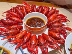 -杨氏青龙虾·羊蝎子(珠江路店)