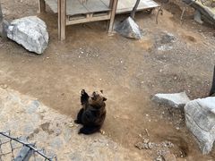 -石家庄市动物园