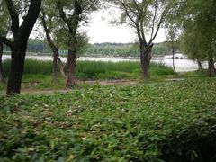 -长春市南湖公园