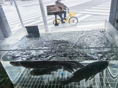 -湘轩·土菜研究院(光大店)